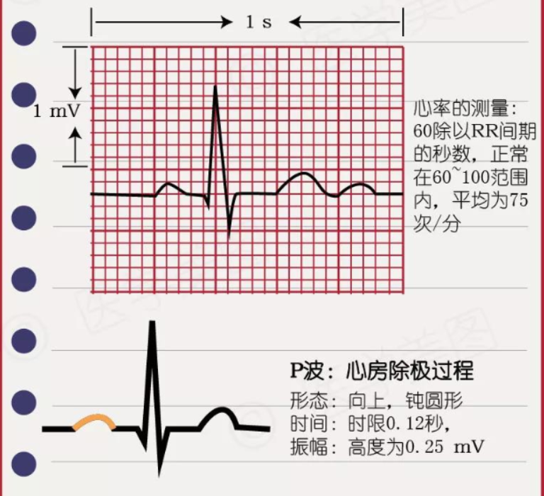 心律失常——房颤患者的紧急处置