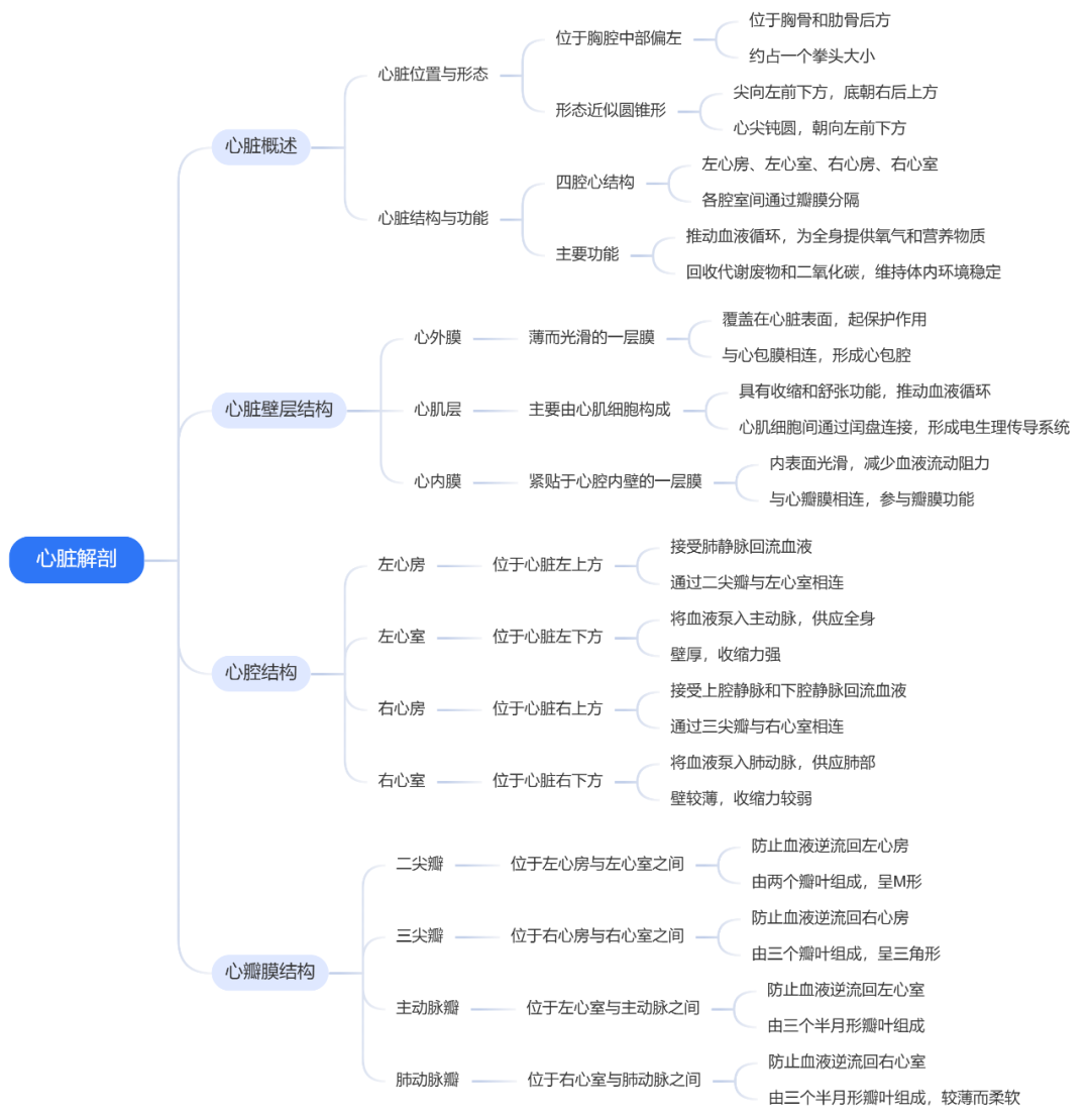 心律失常——室性早搏的诊疗