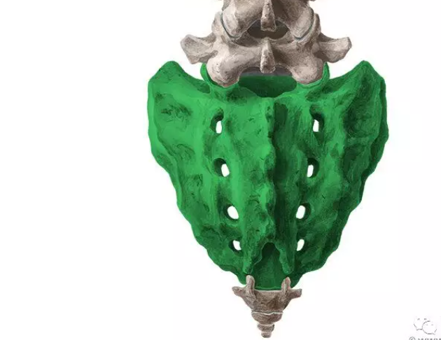 脊柱骨折的分型、诊断与治疗