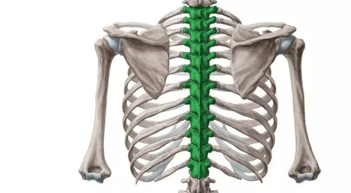 脊柱骨折的分型、诊断与治疗