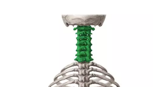 脊柱骨折的分型、诊断与治疗