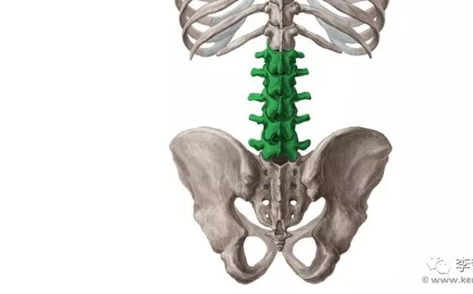 脊柱骨折的分型、诊断与治疗