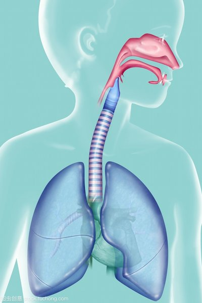 湿化液是什么常用气道湿化方式及湿化液_https://www.jmylbn.com_新闻资讯_第5张