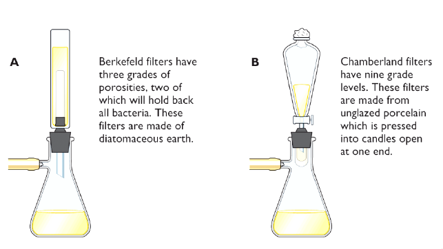 从贝杰林克1898年发表的论文中可以看出,他和伊万诺夫斯基一样使用
