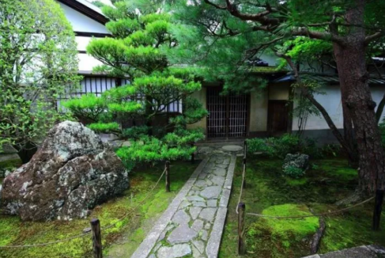 散发着安静力量的苔藓，美了一方小院