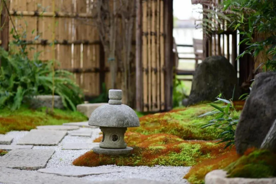 散发着安静力量的苔藓，美了一方小院