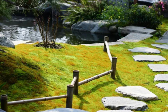 散发着安静力量的苔藓，美了一方小院