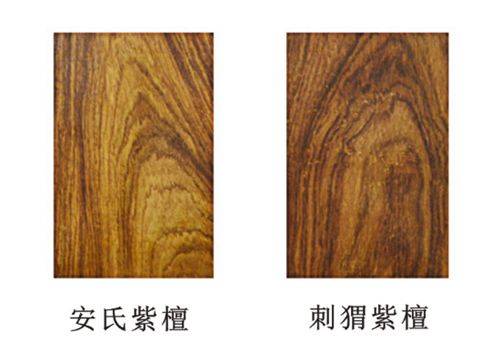 红木家具图片