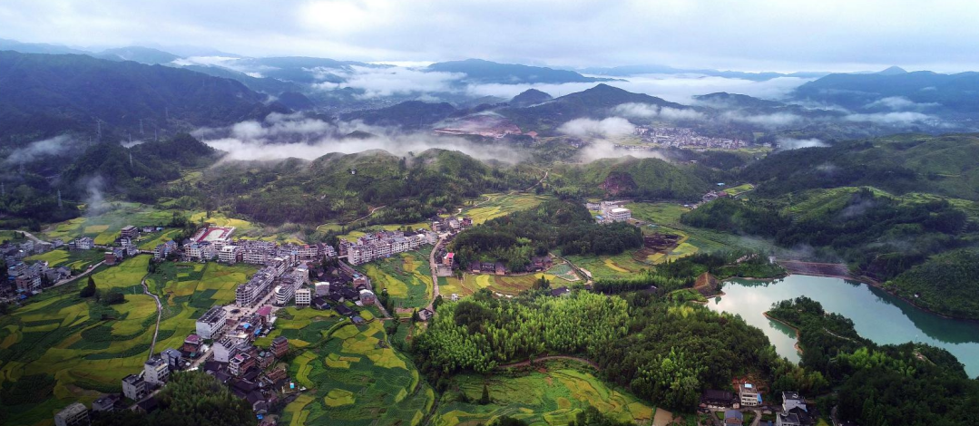 乡村振兴风景图片