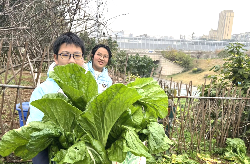 川师附中全名_川师大附中_川师附中师大附中