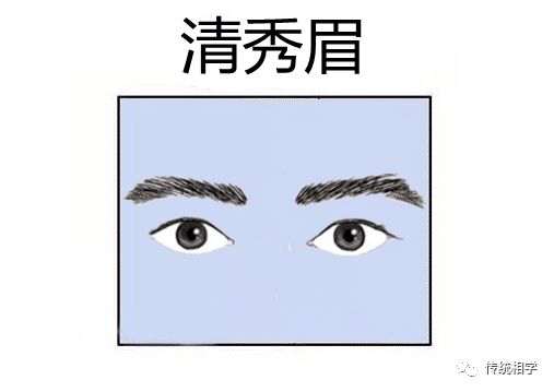 五种发财眉 日子穷不了 男人升官发财 女人嫁入豪门 传统相学 微信公众号文章阅读 Wemp