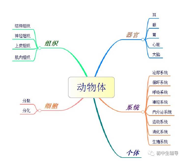 用思維導圖去學生物