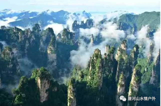 张家界景区电话号码_张家界景区咨询电话_张家界景区咨询电话号码