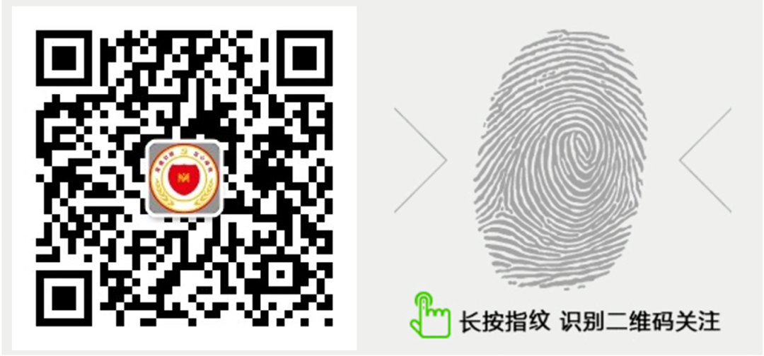 白条猪分割