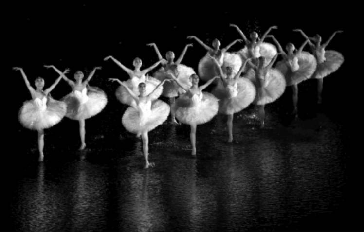 世界芭蕾明星波琳娜61谢米奥诺娃(polina semionova)近期在德国