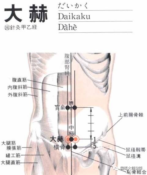 养身 大赫穴 滋阴壮阳 自由微信 Freewechat