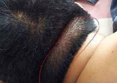 号外！人体使用说明书请拿好