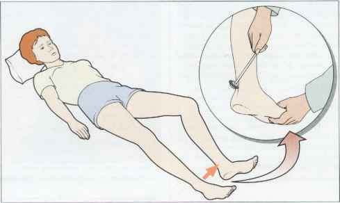 为什么糖尿病不能震动糖尿病足专科检查_https://www.jmylbn.com_新闻资讯_第12张