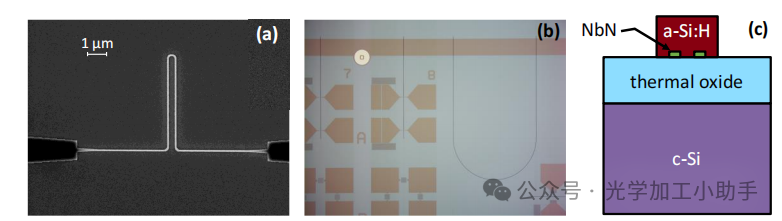 微信图片_20250331120306
