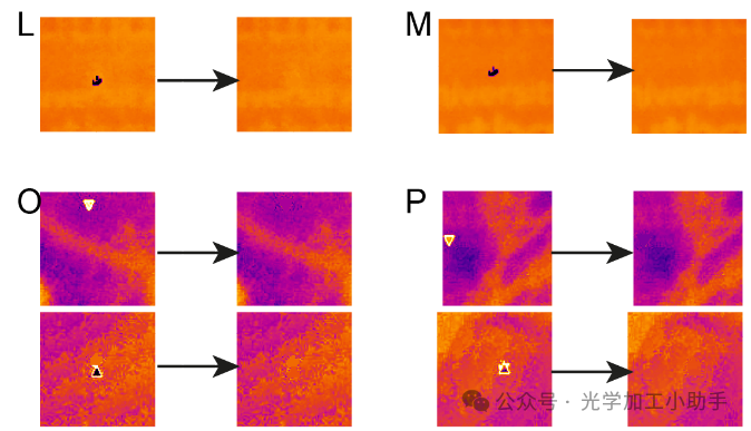 微信图片_2025-06-30_110655_895