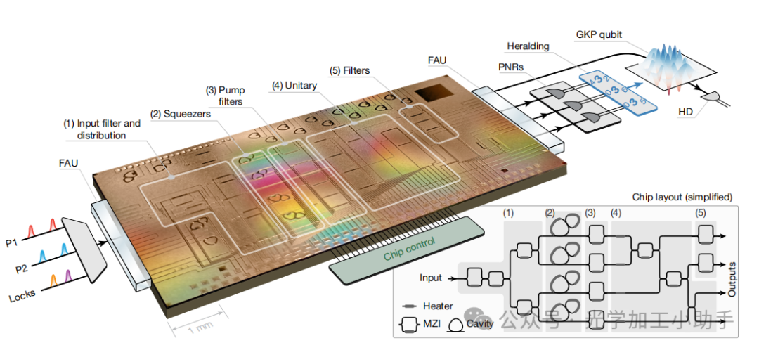 微信图片_2025-06-30_100101_420
