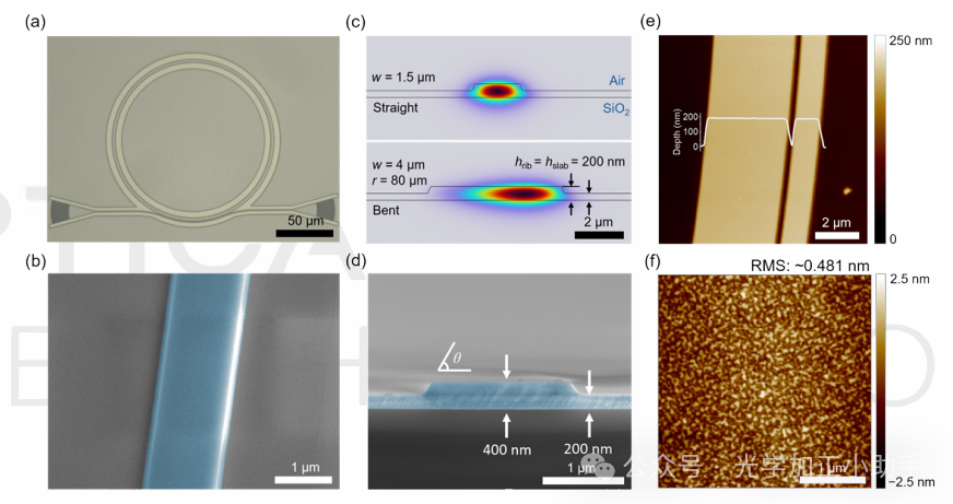 微信图片_20250324123047