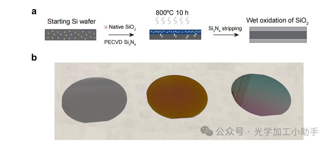 微信图片_2025-06-30_113146_679