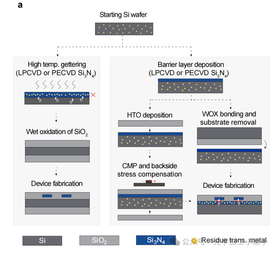 微信图片_2025-06-30_112946_703