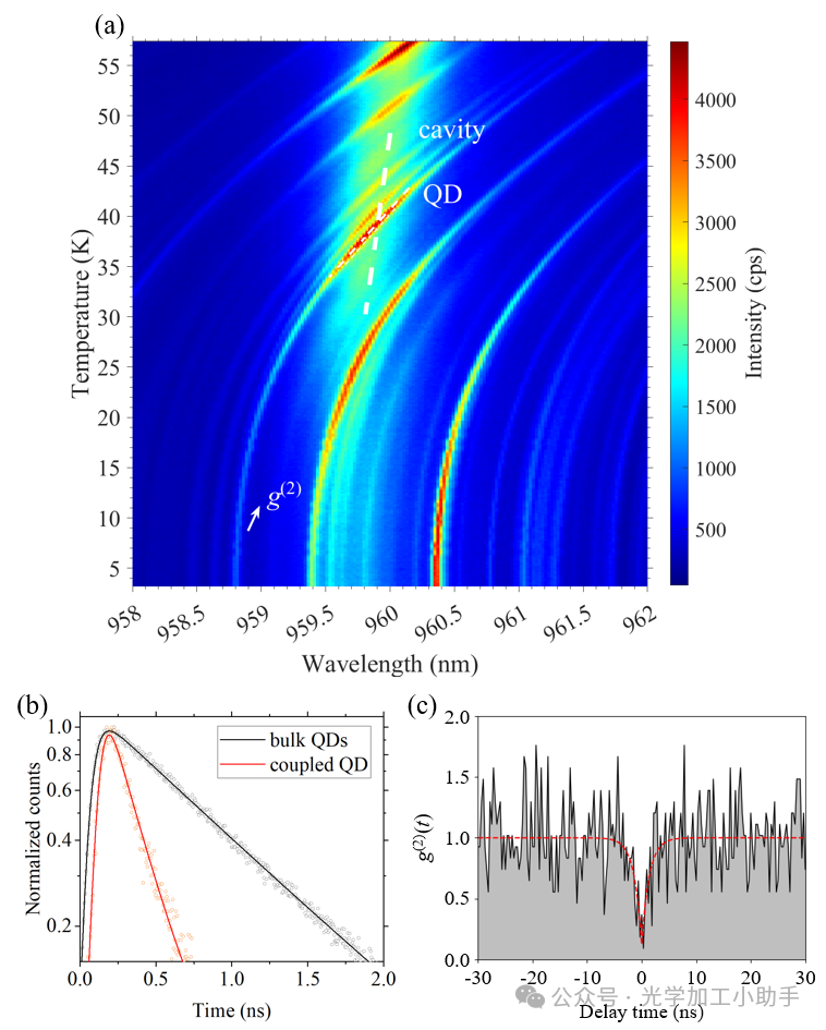 微信图片_20250131195631