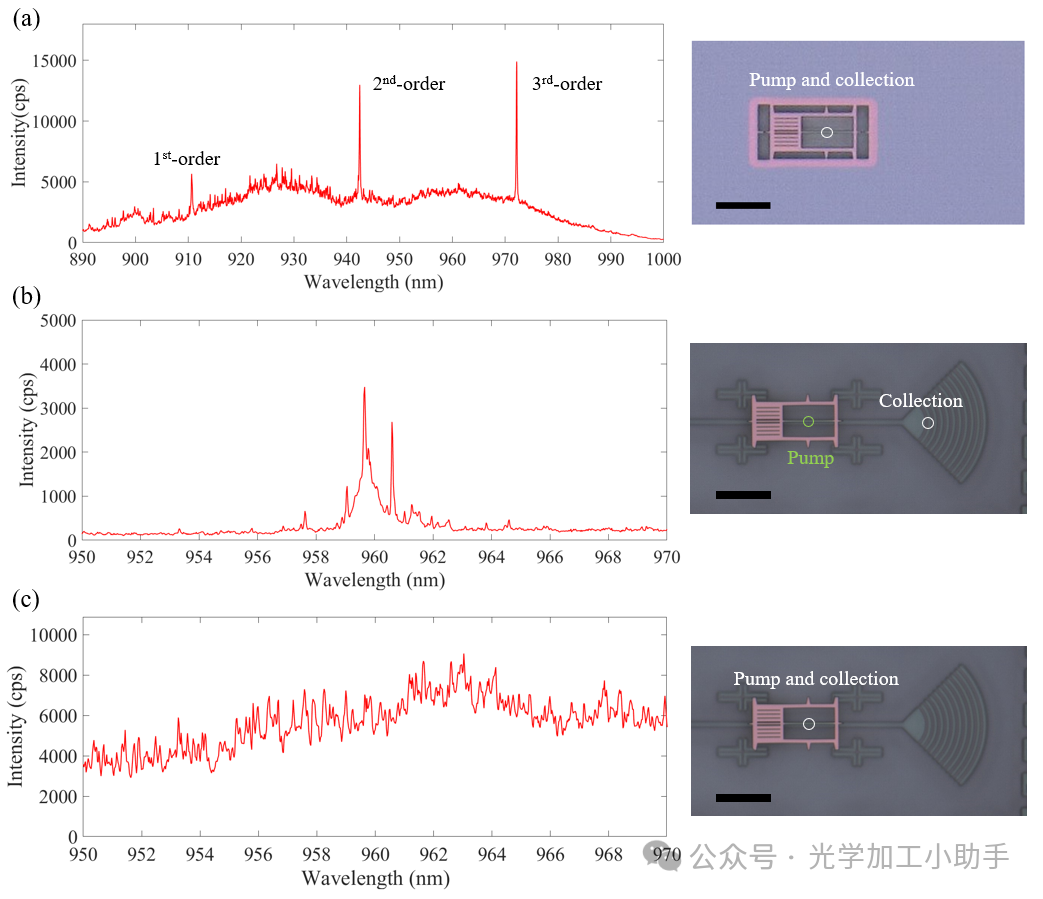微信图片_20250131195626