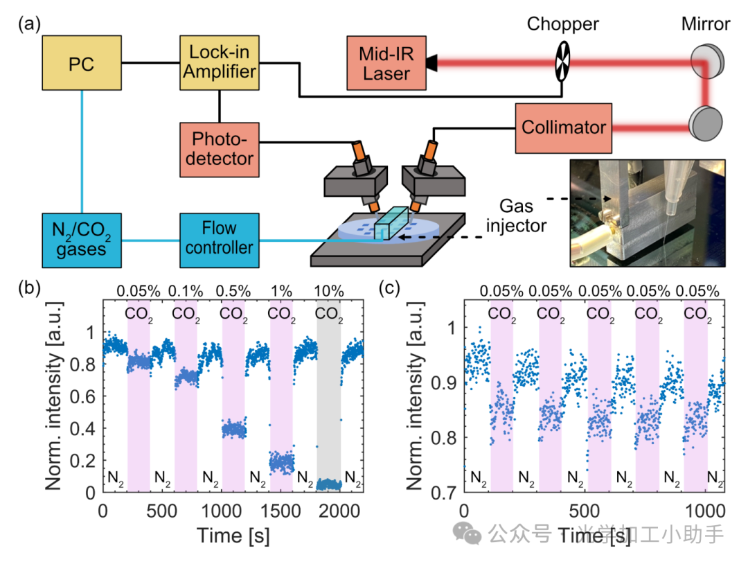 微信图片_20250131200220