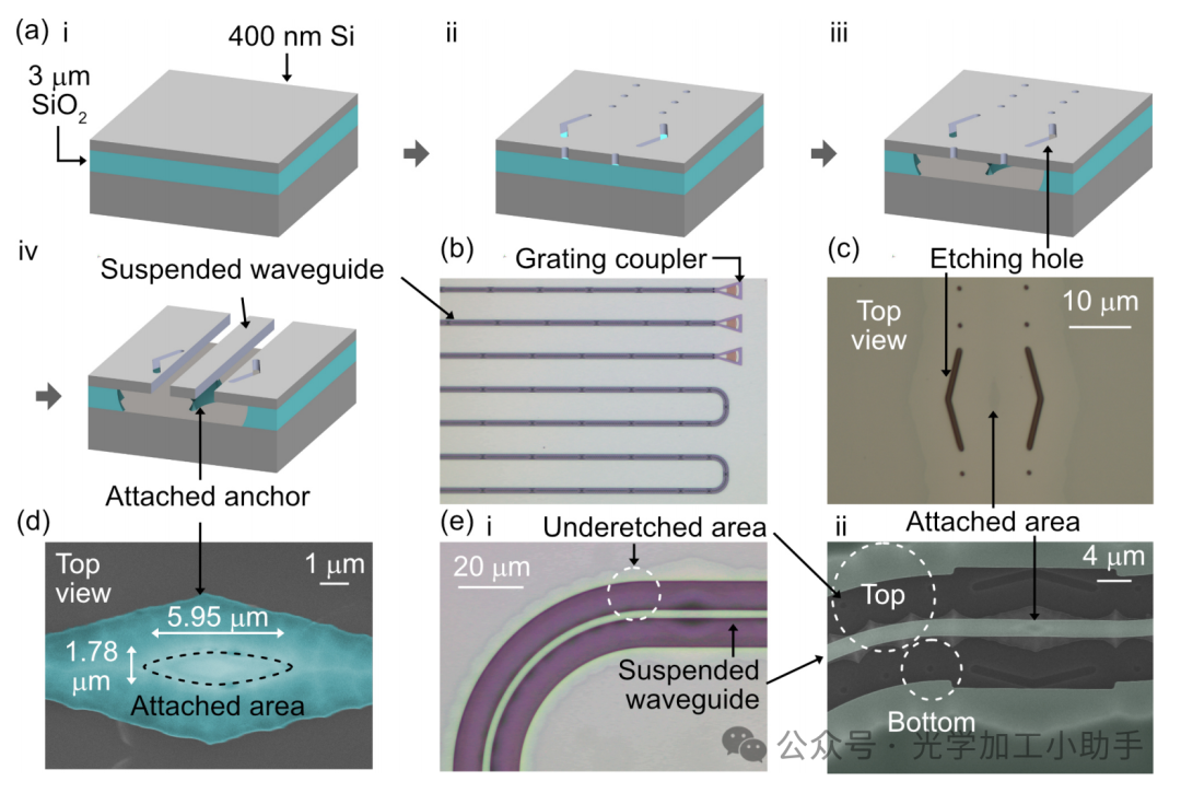 微信图片_20250131200215