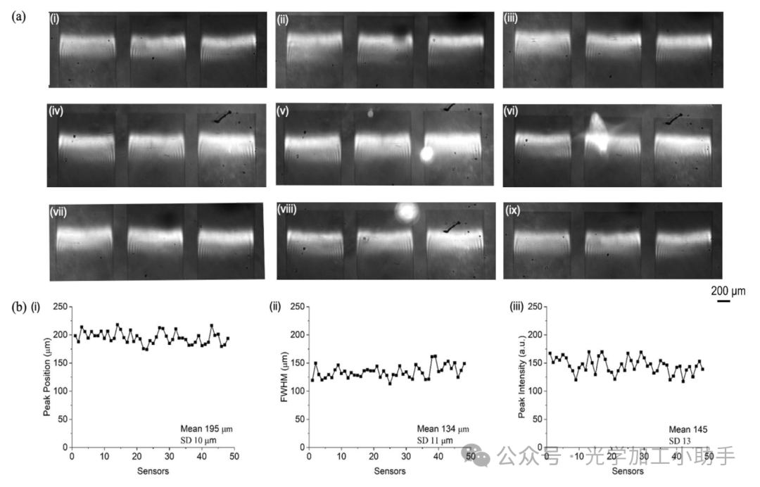 微信图片_20250107082703
