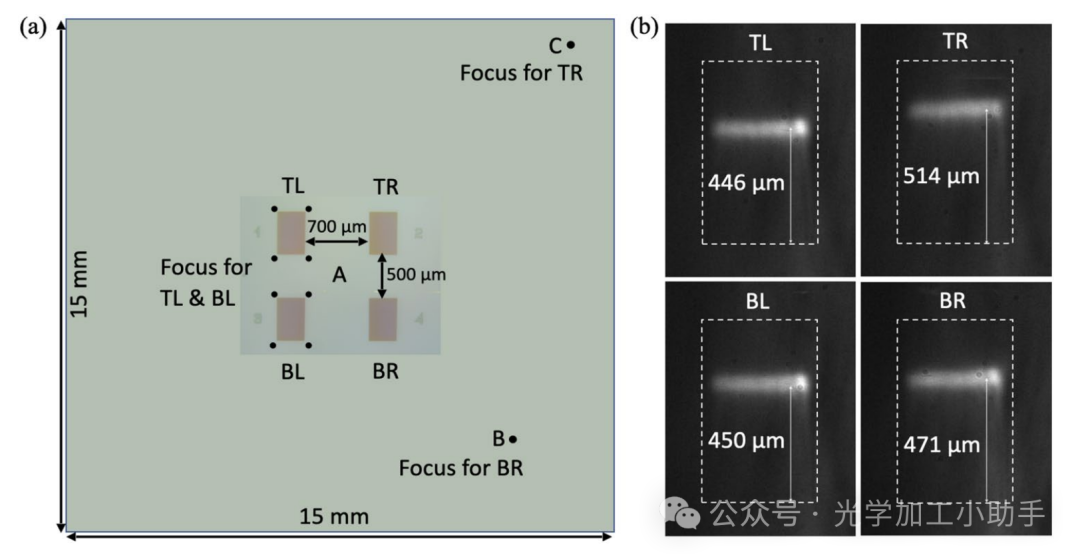 微信图片_20250107082640