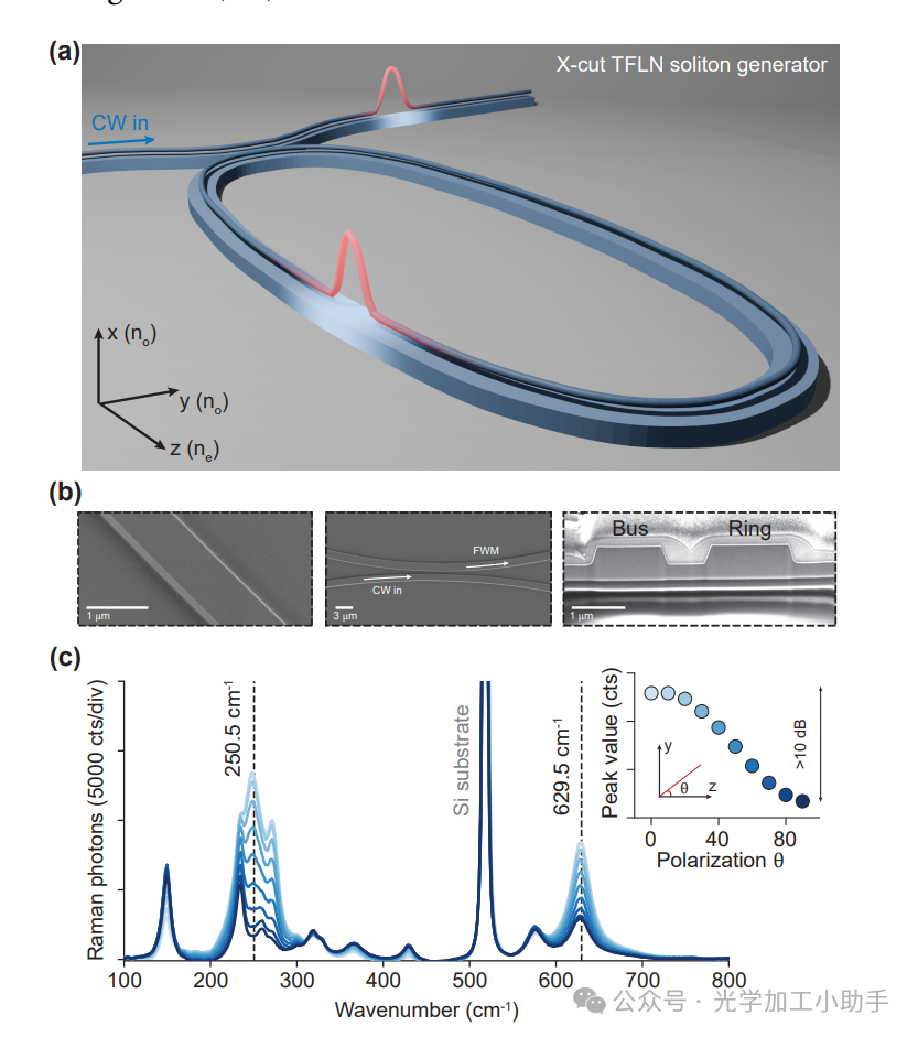 微信图片_2025-06-30_115354_125