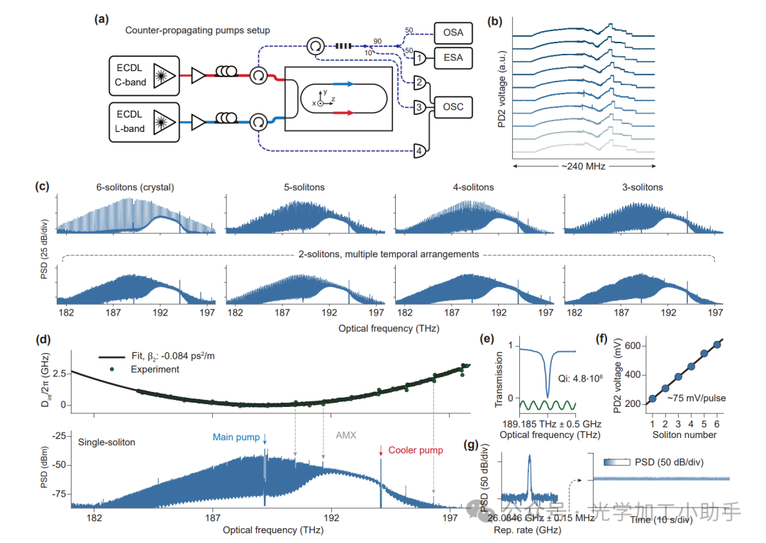 微信图片_2025-06-30_115402_735