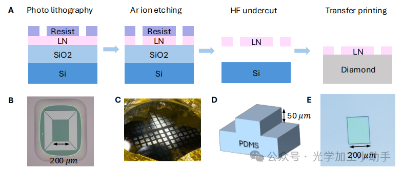 微信图片_20250707152836