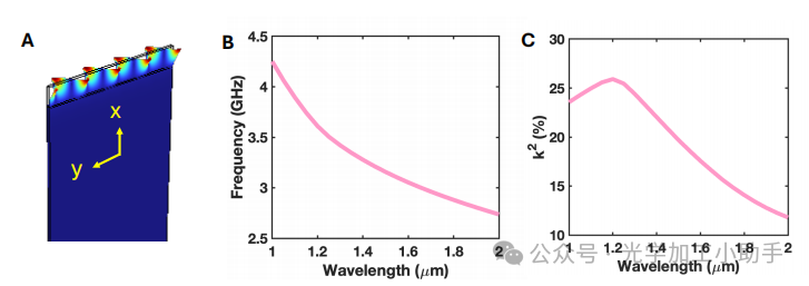 微信图片_20250707152937