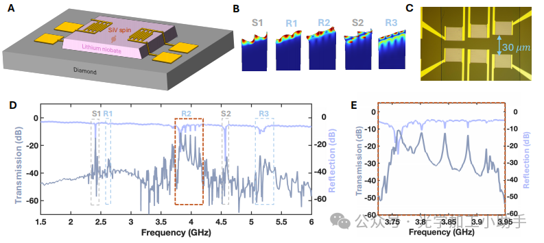 微信图片_20250707152637