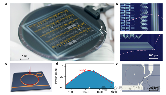微信图片_20250711104703
