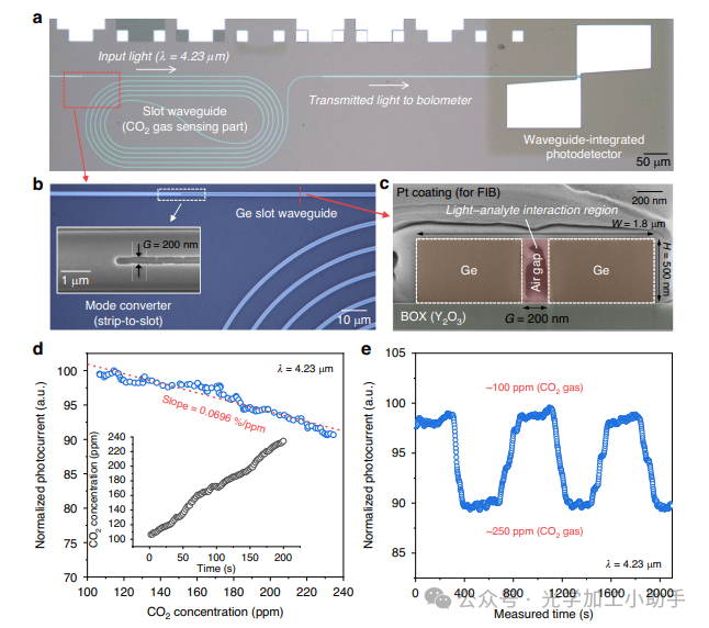 微信图片_20250331115924