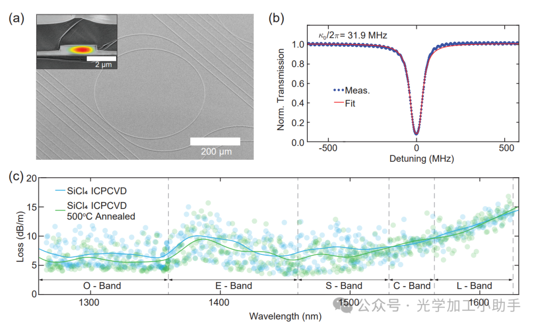 微信图片_2025-06-30_115633_349