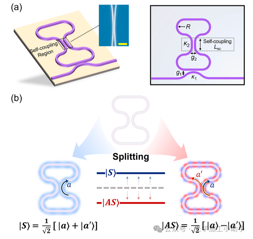 微信图片_2025-06-25_111131_802