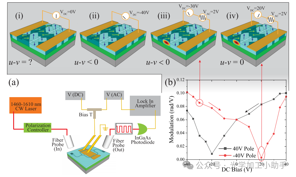 微信图片_2025-06-30_101314_996