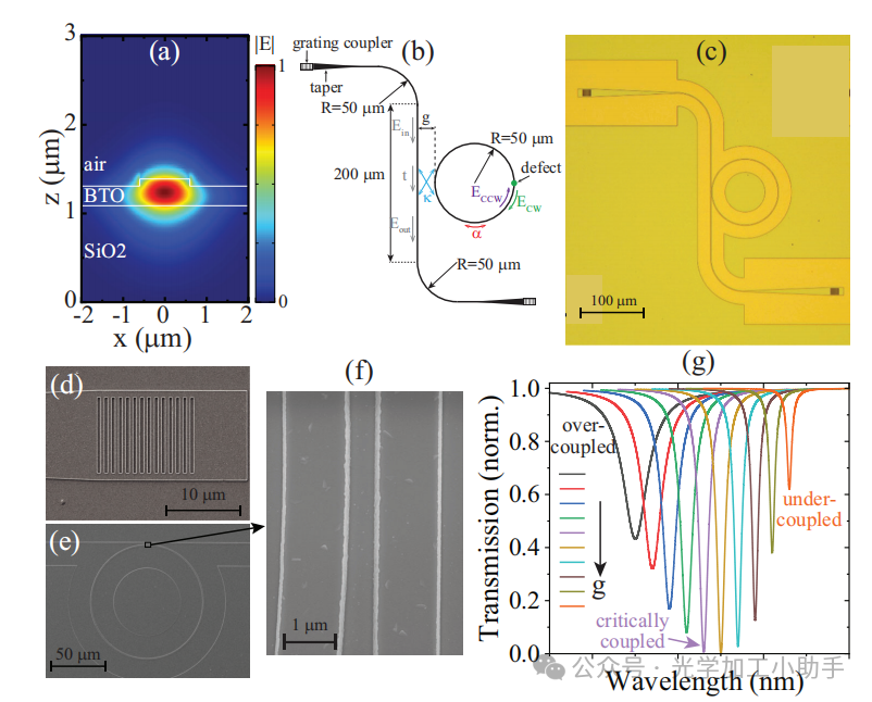 微信图片_2025-06-30_105420_110