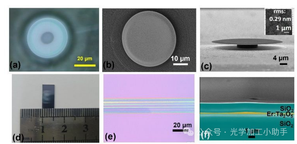 微信图片_2025-06-25_112033_954