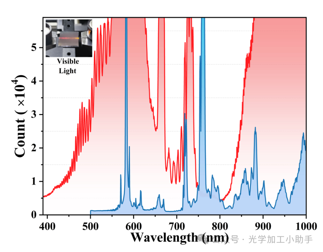 微信图片_2025-06-25_113022_981