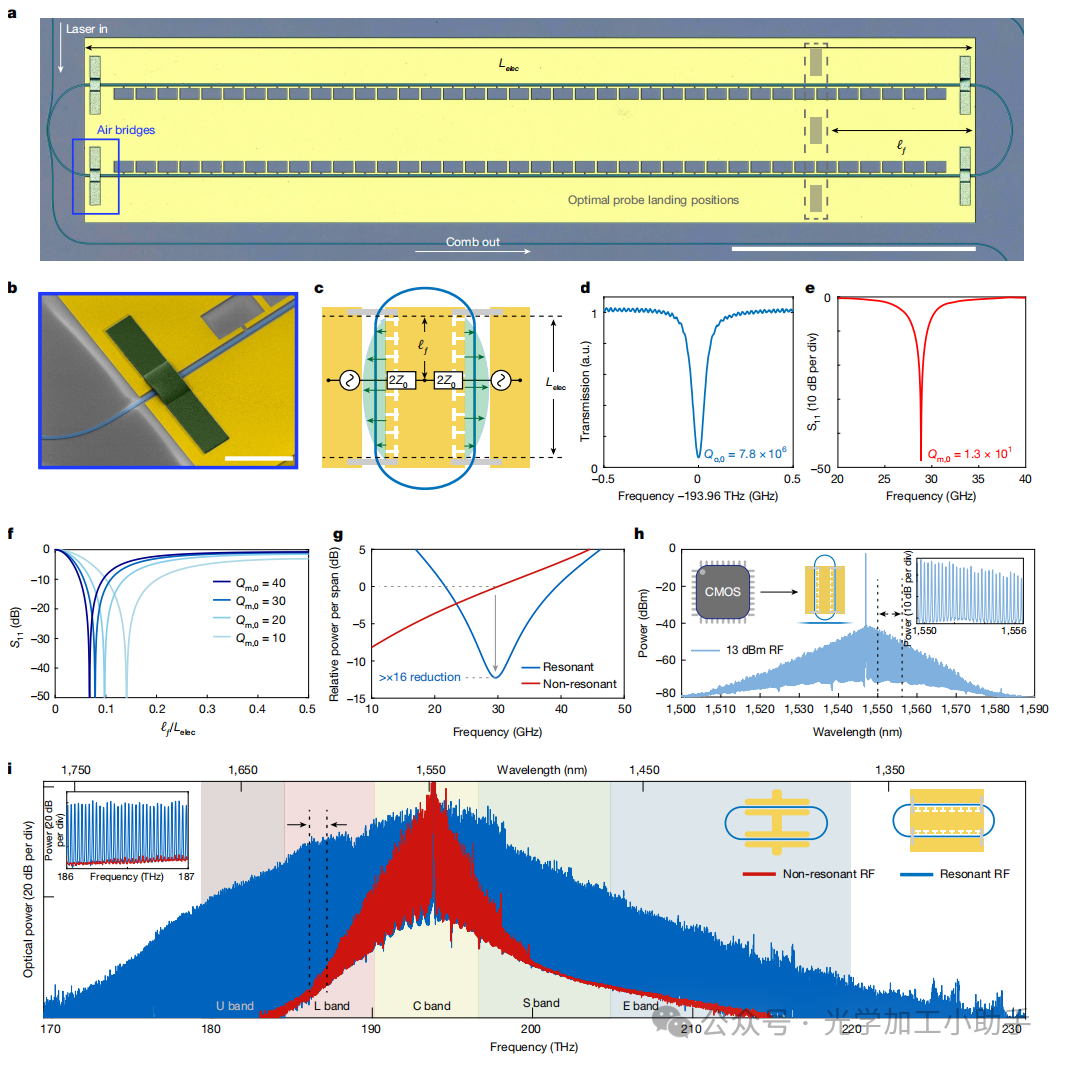 微信图片_20250131193449