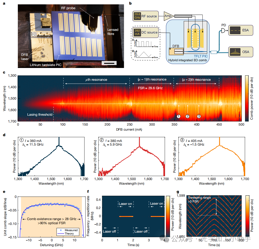 微信图片_20250131193455