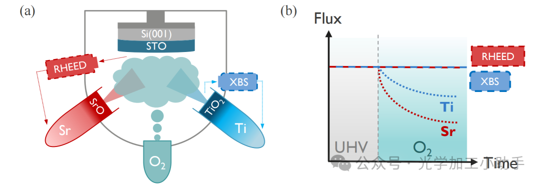 微信图片_20250710083341